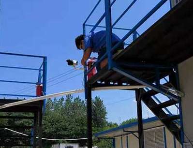 �����O(ji��n)�صđ�(y��ng)��Ҫע��ʲô